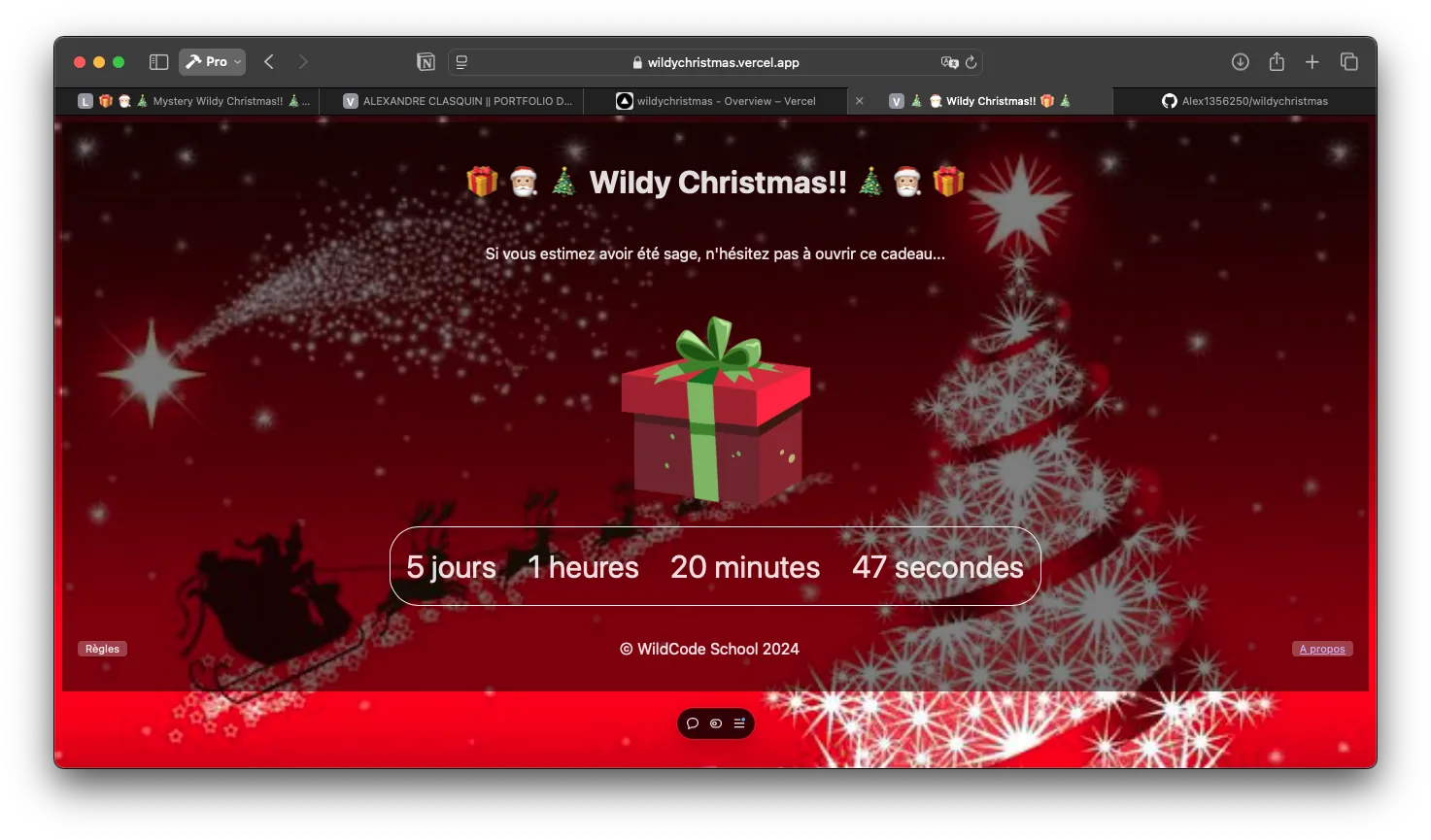 Aperçu du projet Wildy Christmas